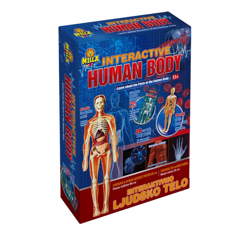 INTERAKTIVNO LJUDSKO TELO MILLA TOYS