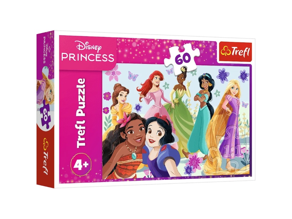 PUZZLE 60 PRINC 17409 103134